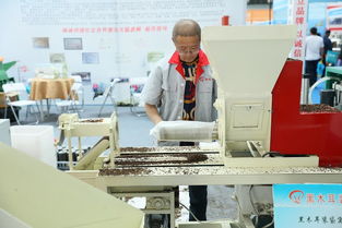 抓好行業(yè)標(biāo)準(zhǔn) 研發(fā)新型基質(zhì)為黑木耳產(chǎn)業(yè)化發(fā)展提速 中國食品報網(wǎng)