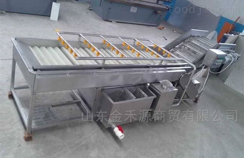 秋意正濃公司 引領(lǐng)產(chǎn)業(yè)革新，新型果蔬清洗風(fēng)干流水線與先進(jìn)汽輪機(jī)同步上市